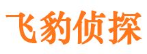 贵池外遇调查取证